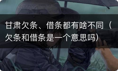 甘肃欠条、借条都有啥不同（欠条和借条是一个意思吗）