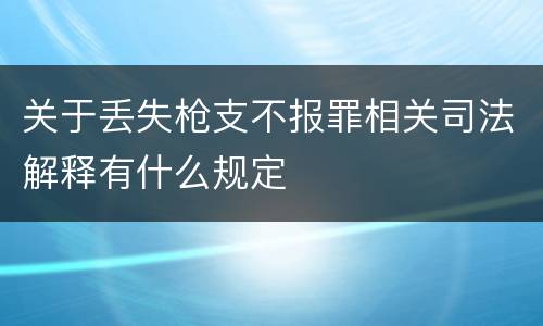 关于丢失枪支不报罪相关司法解释有什么规定