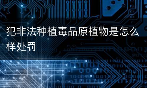 犯非法种植毒品原植物是怎么样处罚