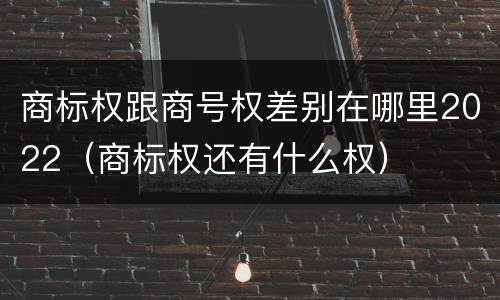 商标权跟商号权差别在哪里2022（商标权还有什么权）