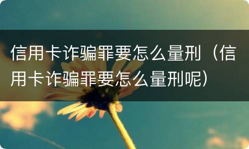 信用卡诈骗罪要怎么量刑（信用卡诈骗罪要怎么量刑呢）