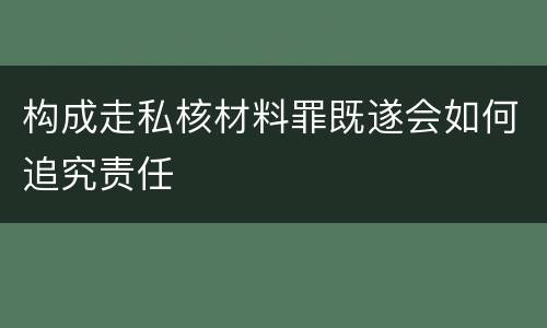 构成走私核材料罪既遂会如何追究责任