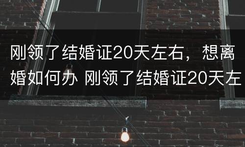 刚领了结婚证20天左右，想离婚如何办 刚领了结婚证20天左右,想离婚如何办理手续