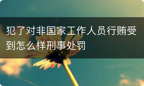 犯了对非国家工作人员行贿受到怎么样刑事处罚
