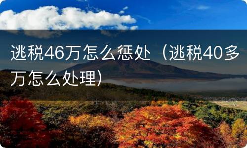 逃税46万怎么惩处（逃税40多万怎么处理）