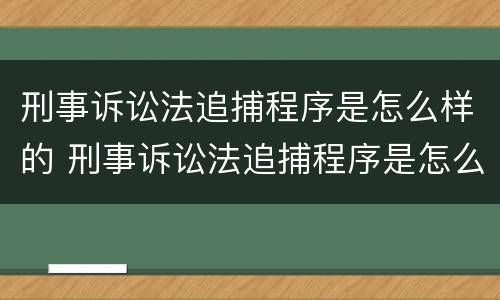 刑事诉讼法追捕程序是怎么样的 刑事诉讼法追捕程序是怎么样的呢