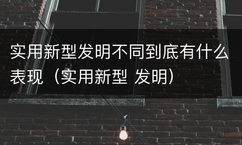 实用新型发明不同到底有什么表现（实用新型 发明）