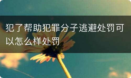 犯了帮助犯罪分子逃避处罚可以怎么样处罚