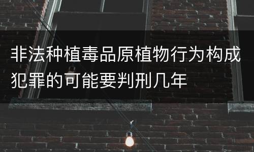 非法种植毒品原植物行为构成犯罪的可能要判刑几年