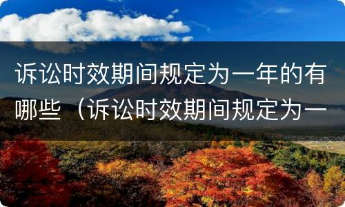 诉讼时效期间规定为一年的有哪些（诉讼时效期间规定为一年的有哪些情形）