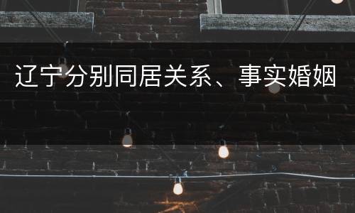 辽宁分别同居关系、事实婚姻
