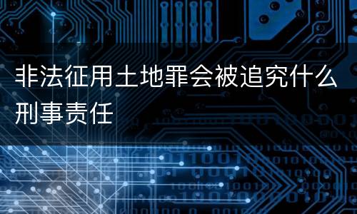 非法征用土地罪会被追究什么刑事责任