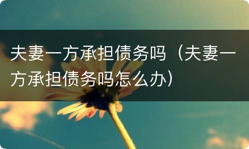 夫妻一方承担债务吗（夫妻一方承担债务吗怎么办）