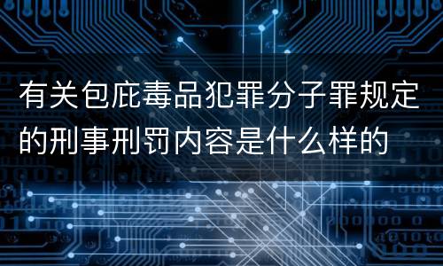 有关包庇毒品犯罪分子罪规定的刑事刑罚内容是什么样的