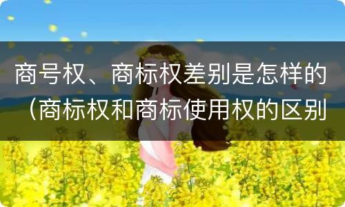 商号权、商标权差别是怎样的（商标权和商标使用权的区别）