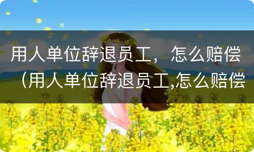 用人单位辞退员工，怎么赔偿（用人单位辞退员工,怎么赔偿的）