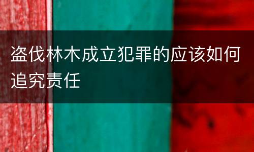 盗伐林木成立犯罪的应该如何追究责任