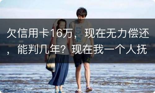 欠信用卡16万，现在无力偿还，能判几年？现在我一个人抚养孩子，判刑后孩子怎么办
