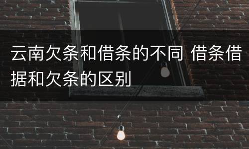 云南欠条和借条的不同 借条借据和欠条的区别