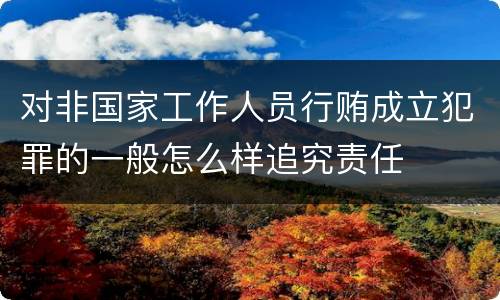对非国家工作人员行贿成立犯罪的一般怎么样追究责任