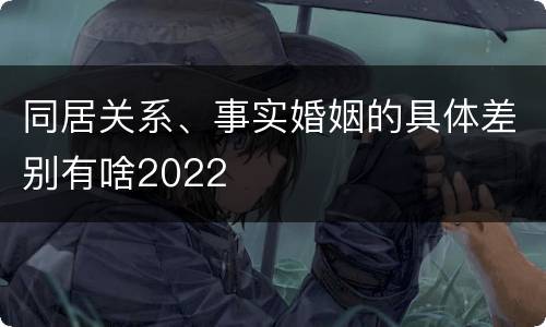 同居关系、事实婚姻的具体差别有啥2022