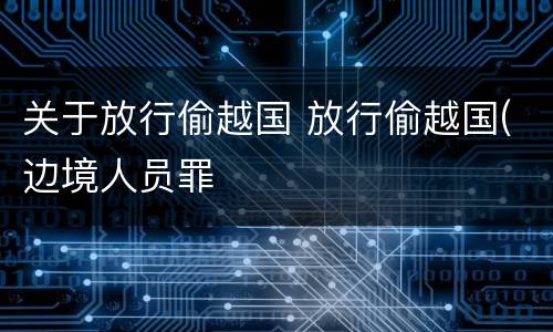 关于放行偷越国 放行偷越国(边境人员罪