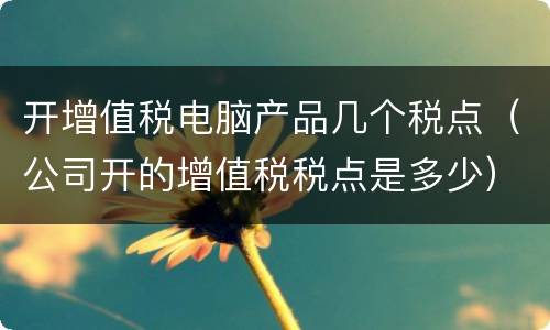 开增值税电脑产品几个税点（公司开的增值税税点是多少）