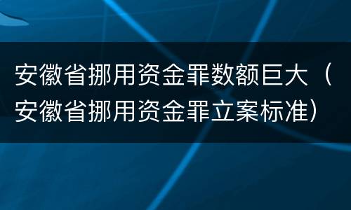 安徽省挪用资金罪数额巨大（安徽省挪用资金罪立案标准）