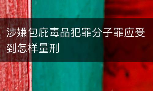 涉嫌包庇毒品犯罪分子罪应受到怎样量刑