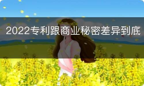 2022专利跟商业秘密差异到底