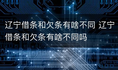 辽宁借条和欠条有啥不同 辽宁借条和欠条有啥不同吗