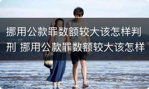挪用公款罪数额较大该怎样判刑 挪用公款罪数额较大该怎样判刑呢