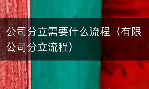 公司分立需要什么流程（有限公司分立流程）