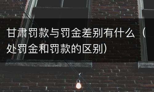 甘肃罚款与罚金差别有什么（处罚金和罚款的区别）