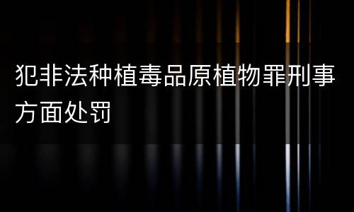 犯非法种植毒品原植物罪刑事方面处罚