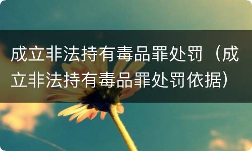 成立非法持有毒品罪处罚（成立非法持有毒品罪处罚依据）