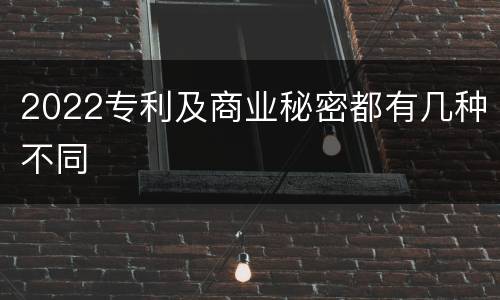 2022专利及商业秘密都有几种不同