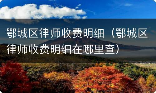 鄂城区律师收费明细（鄂城区律师收费明细在哪里查）