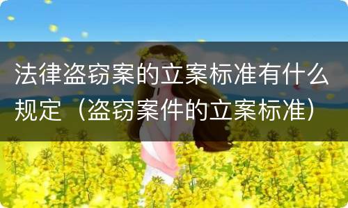 法律盗窃案的立案标准有什么规定（盗窃案件的立案标准）