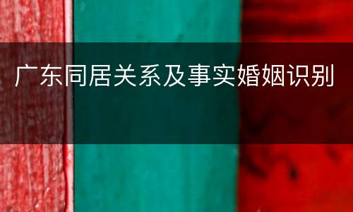 广东同居关系及事实婚姻识别