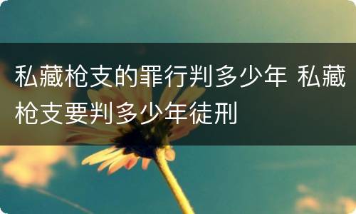 私藏枪支的罪行判多少年 私藏枪支要判多少年徒刑