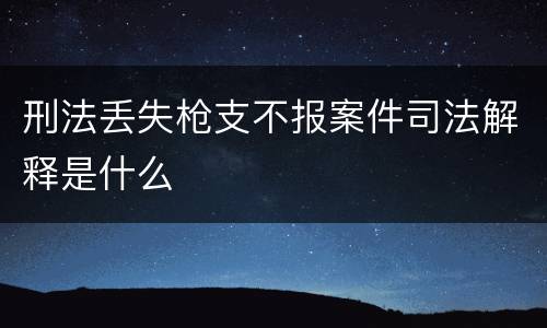 刑法丢失枪支不报案件司法解释是什么