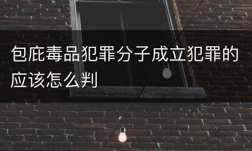 包庇毒品犯罪分子成立犯罪的应该怎么判