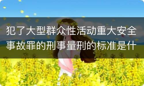 犯了大型群众性活动重大安全事故罪的刑事量刑的标准是什么