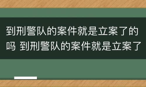 到刑警队的案件就是立案了的吗 到刑警队的案件就是立案了的吗怎么办