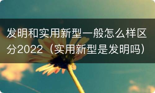 发明和实用新型一般怎么样区分2022（实用新型是发明吗）