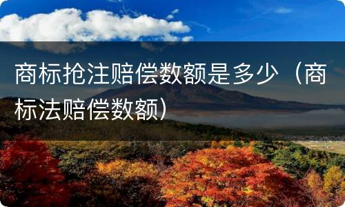商标抢注赔偿数额是多少（商标法赔偿数额）