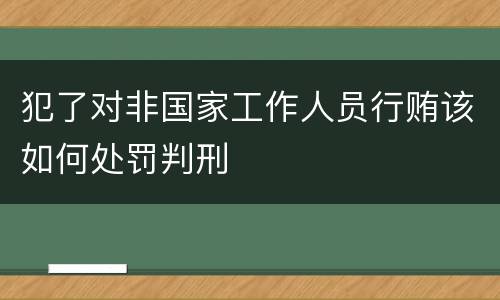 犯了对非国家工作人员行贿该如何处罚判刑