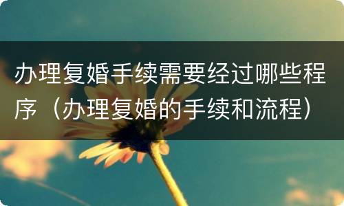 办理复婚手续需要经过哪些程序（办理复婚的手续和流程）