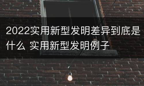 2022实用新型发明差异到底是什么 实用新型发明例子